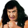 Perro Aguayo